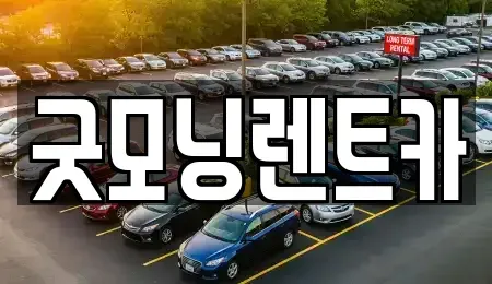 경기 수원시 영통구 원천동 렌트카 전문 굿모닝렌트카
