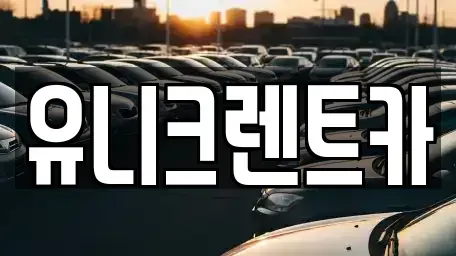 경기 수원시 영통구 원천동 렌트카 전문 유니크렌트카