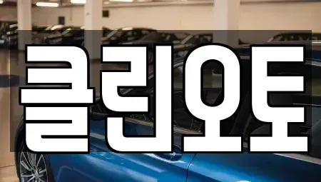 경기 수원시 영통구 원천동 중고차매매 전문 클린오토