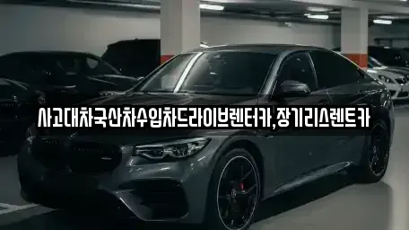 경기 시흥시 산현동 렌트카 전문 사고대차국산차수입차드라이브렌터카,장기리스렌트카