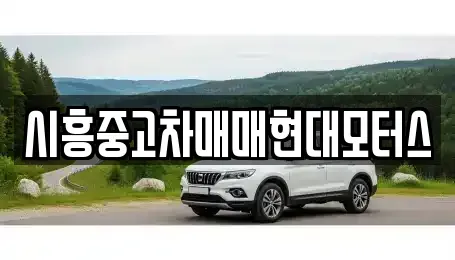 경기 시흥시 산현동 중고차매매 전문 시흥중고차매매현대모터스