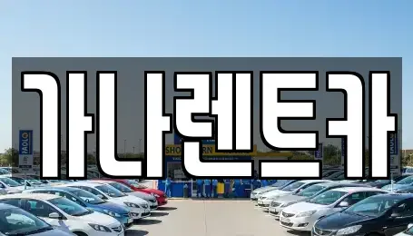 경기 안성시 도기동 렌트카 전문 가나렌트카