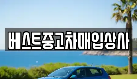 경기 안성시 도기동 중고차 전문 베스트중고차매입상사
