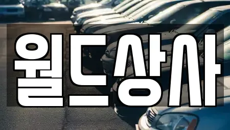 경기 안성시 도기동 중고차 전문 월드상사