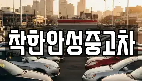 경기 안성시 도기동 중고차매매 전문 착한안성중고차