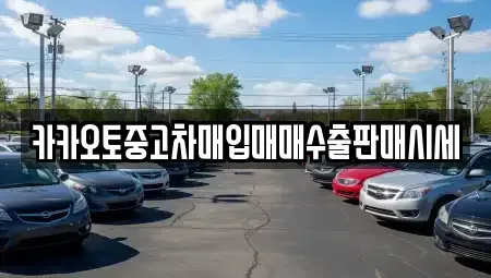 경기 양평군 서종면 중고차매매 전문 카카오토중고차매입매매수출판매시세
