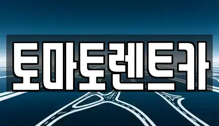 경기 여주시 창동 렌트카 전문 토마토렌트카