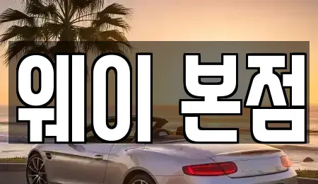 경기 의왕시 단기렌트카 전문 웨이 본점