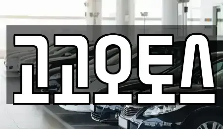 경기 의왕시 렌트카 전문 고고오토스