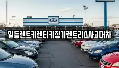 경기 의왕시 장기렌트카 전문 일등렌트카렌터카장기렌트리스사고대차