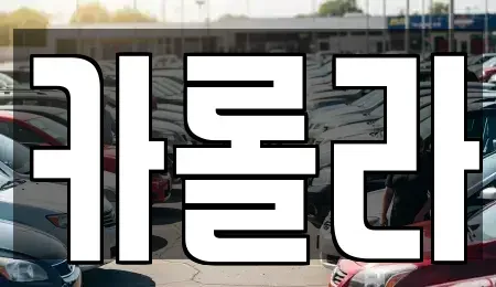 경기 의왕시 중고차 전문 카롤라