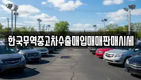 경기 의왕시 중고차매매 전문 한국무역중고차수출매입매매판매시세