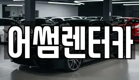 경기 파주시 상지석동 장기렌트카 전문 어썸렌터카