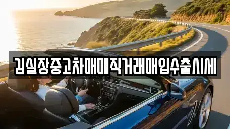 경기 파주시 상지석동 중고차 전문 김실장중고차매매직거래매입수출시세