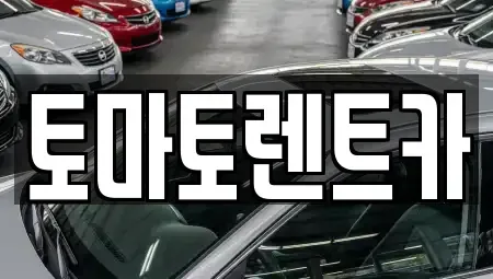 경기 포천시 창수면 렌트카 전문 토마토렌트카