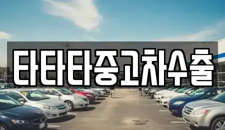 경기 포천시 창수면 중고차 전문 타타타중고차수출