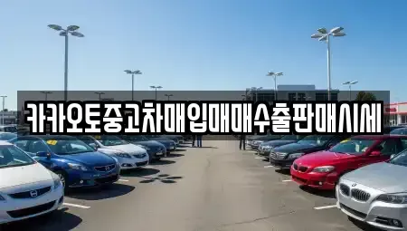 경기 포천시 창수면 중고차매입 전문 카카오토중고차매입매매수출판매시세