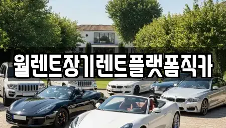 경기 하남시 하산곡동 렌트카 전문 월렌트장기렌트플랫폼직카