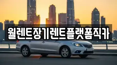 경기 하남시 하산곡동 장기렌트카 전문 월렌트장기렌트플랫폼직카