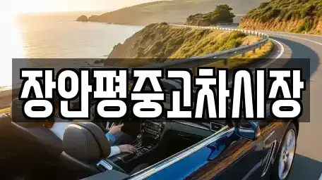 경기 하남시 하산곡동 중고차 전문 장안평중고차시장