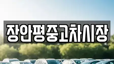 경기 하남시 하산곡동 중고차매매 전문 장안평중고차시장