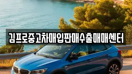 경기 하남시 하산곡동 중고차매입 전문 김프로중고차매입판매수출매매센터
