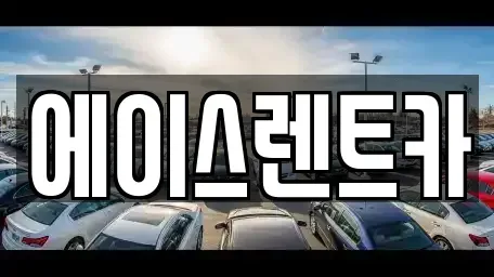 경기 화성시 향남읍 렌트카 전문 에이스렌트카