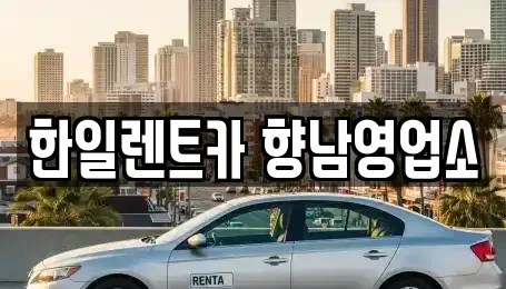 경기 화성시 향남읍 렌트카,단기렌트카,장기렌트카,중고차,중고차매매,중고차매입