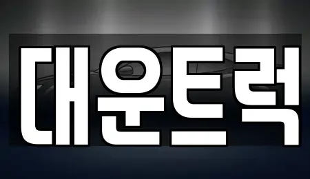경기 화성시 향남읍 중고차 전문 대운트럭