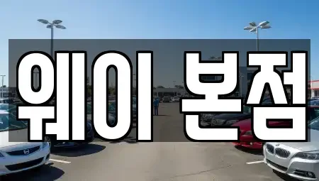 경기도 군포시 금정동 단기렌트카 전문 웨이 본점
