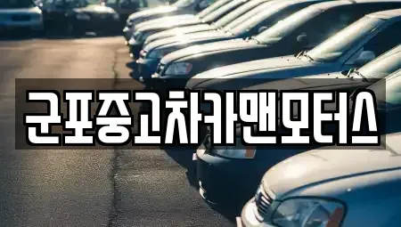 경기도 군포시 금정동 중고차매매,단기렌트카,중고차매입,장기렌트카,중고차,렌트카