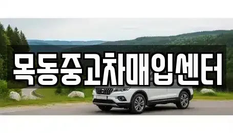 경기도 군포시 금정동 중고차매입 전문 목동중고차매입센터