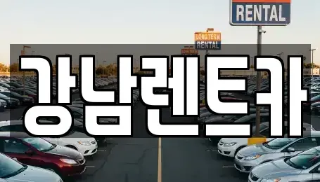 경기도 남양주시 진건읍 단기렌트카 전문 강남렌트카