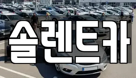 경기도 남양주시 진건읍 장기렌트카 전문 솔렌트카