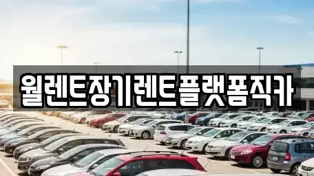 경기도 남양주시 진건읍 장기렌트카 전문 월렌트장기렌트플랫폼직카