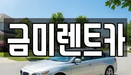 경기도 부천시 오정구 대장동 렌트카 전문 금미렌트카