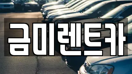 경기도 부천시 원미구 소사동 렌트카 전문 금미렌트카