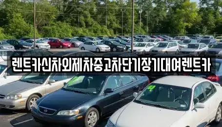 경기도 성남시 수정구 신촌동 장기렌트카 전문 렌트카신차외제차중고차단기장기대여렌트카
