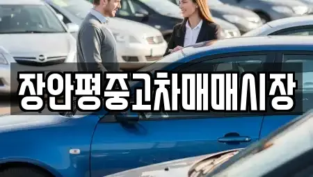 경기도 성남시 수정구 신촌동 중고차 전문 장안평중고차매매시장
