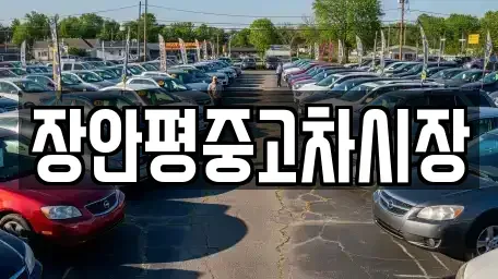 경기도 성남시 수정구 신촌동 중고차 전문 장안평중고차시장