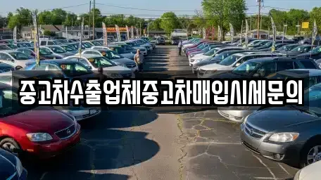 경기도 성남시 수정구 신촌동 중고차 전문 중고차수출업체중고차매입시세문의