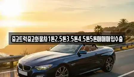 경기도 성남시 수정구 신촌동 중고차 전문 중고트럭중고화물차1톤2.5톤3.5톤4.5톤5톤매매매입수출