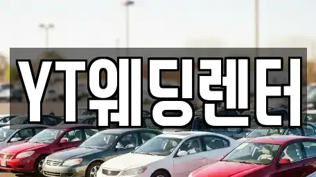 경기도 성남시 수정구 양지동 단기렌트카 전문 YT웨딩렌터