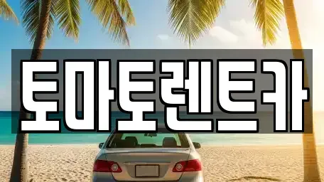 경기도 성남시 수정구 양지동 렌트카 전문 토마토렌트카