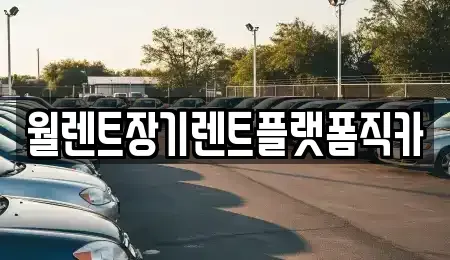 경기도 성남시 수정구 양지동 장기렌트카 전문 월렌트장기렌트플랫폼직카