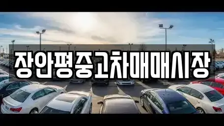 경기도 성남시 수정구 양지동 중고차매매 전문 장안평중고차매매시장