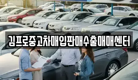 경기도 성남시 수정구 양지동 중고차매입 전문 김프로중고차매입판매수출매매센터