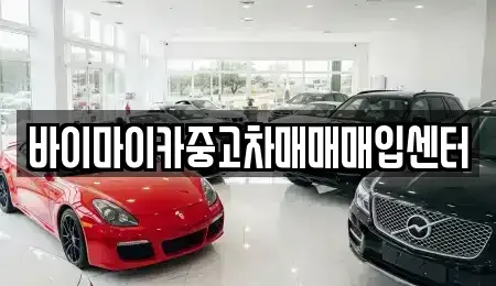 경기도 성남시 수정구 양지동 중고차매입 전문 바이마이카중고차매매매입센터