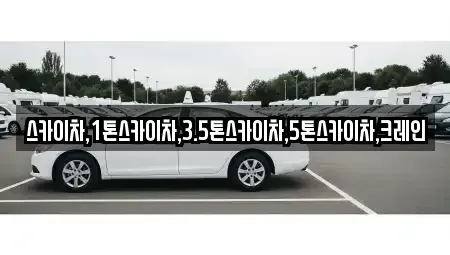 경기도 성남시 수정구 양지동 중고차매입 전문 스카이차,1톤스카이차,3.5톤스카이차,5톤스카이차,크레인