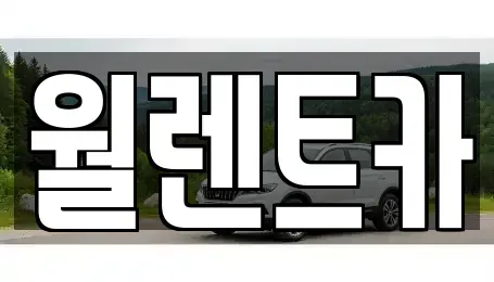 경기도 수원시 권선구 금곡동 렌트카 전문 월렌트카